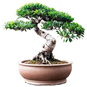 Bonsai Plant Clipart Png Mck PNG Image