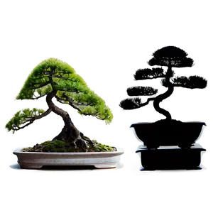 Bonsai Silhouette Png 29 PNG Image