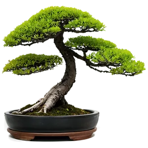 Bonsai Silhouette Png 77 PNG Image