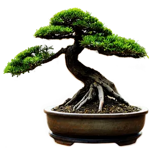 Bonsai Silhouette Png Agx PNG Image