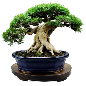 Bonsai Tree Art Png 06132024 PNG Image