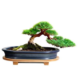 Bonsai Tree Art Png Bwl PNG Image