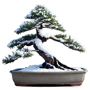 Bonsai Tree Winter Care Png 06252024 PNG Image