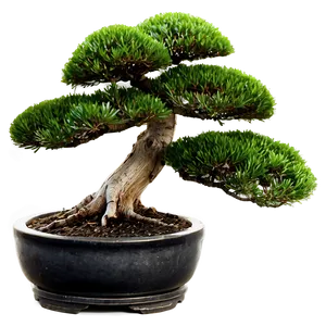 Bonsai Tree With Mountain Background Png Lyp PNG Image