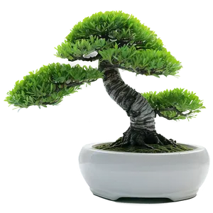 Bonsai Tree With Zen Stones Png Svv PNG Image