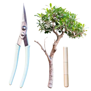 Bonsai Trimming Shears Png Tnc PNG Image