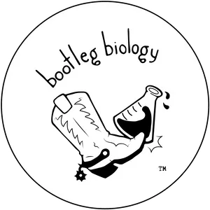 Bootleg Biology Logo PNG Image