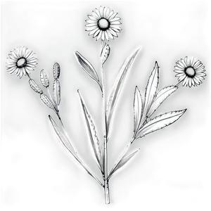 Botanical Black And White Png Opf PNG Image