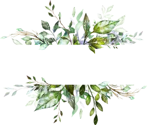 Botanical Leaves Frame Design PNG Image