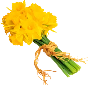 Bouquetof Yellow Daffodils PNG Image