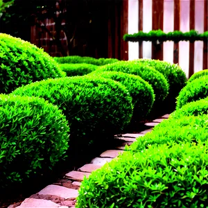 Boxwood Garden Png 06212024 PNG Image