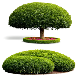 Boxwood Landscape Png 41 PNG Image