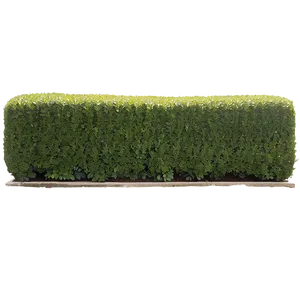 Boxwood Landscape Png Otq86 PNG Image