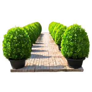 Boxwood Pathway Png Ftu37 PNG Image