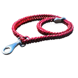 Braided Dog Leash Png Ljv PNG Image