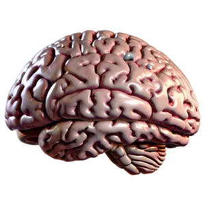 Brain Emoji B PNG Image