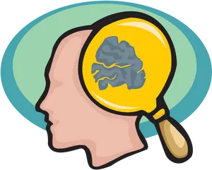 Brain Exploration Graphic PNG Image