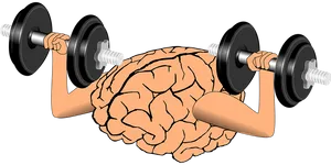 Brain_ Lifting_ Weights_ Concept PNG Image