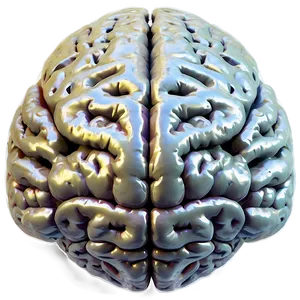 Brain Outline A PNG Image