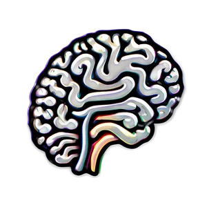 Brain Shape Outline Png 86 PNG Image