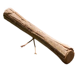 Branch-like Wooden Stick Png Mud70 PNG Image