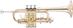 Brass Trumpet Isolatedon White PNG Image