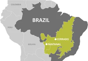 Brazil Ecoregions Map Cerrado Pantanal PNG Image