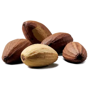 Brazil Nut Png 46 PNG Image