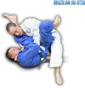 Brazilian Jiu Jitsu Training Session PNG Image