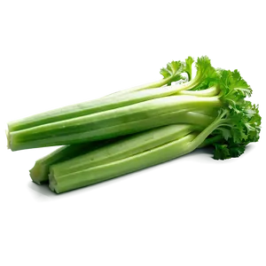 Bright Green Celery Png Dyf PNG Image