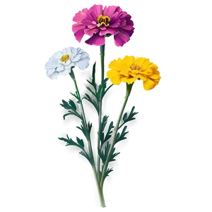 Bright Yellow Marigolds Png Oio PNG Image