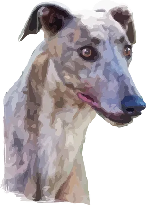 Brindle Greyhound Portrait PNG Image