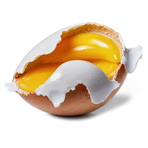 Broken Egg Top View Png 28 PNG Image