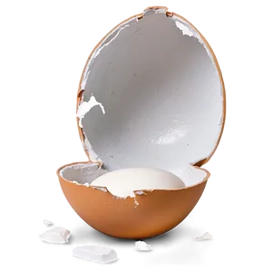 Broken Eggshell Png Jnn30 PNG Image