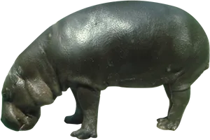 Bronze Hippopotamus Sculpture PNG Image