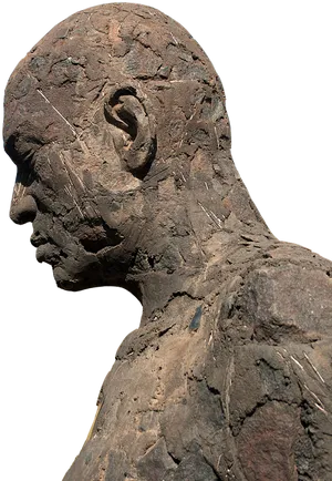 Bronze Sculpture Profile View PNG Image