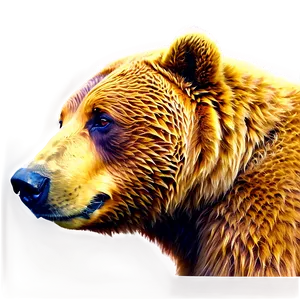 Brown Bear Head Artwork Png Jvk94 PNG Image