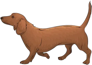 Brown Dachshund Illustration PNG Image