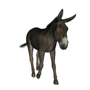 Brown Donkey Black Background PNG Image