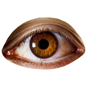 Brown Eye Transparent Png Mxh PNG Image