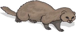 Brown Ferret Illustration.png PNG Image