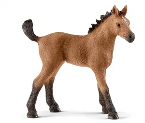 Brown Foal Figure Standing PNG Image