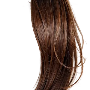 Brown Hair Strand Png Tnp55 PNG Image