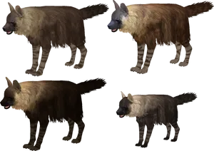 Brown_ Hyenas_ Multiple_ Angles PNG Image