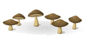 Brown Mushrooms Black Background Illustration PNG Image