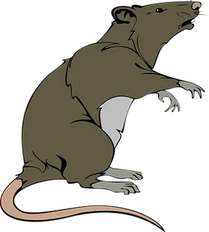 Brown Rat Illustration PNG Image