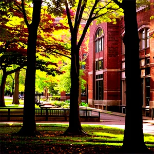 Brown University Campus View Png Isv8 PNG Image