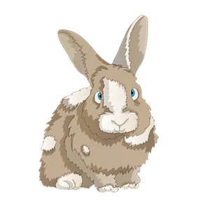 Brownand White Cartoon Rabbit PNG Image