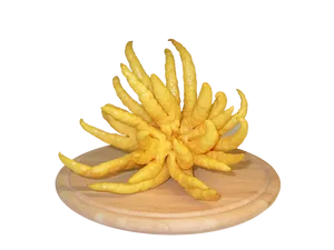 Buddhas Hand Citron Fruit PNG Image