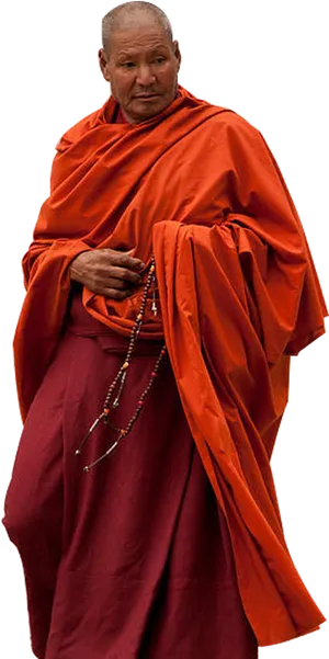 Buddhist_ Monk_in_ Traditional_ Robes PNG Image